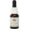 BUSH BIOTHERAPIES Pty Ltd PEACH FLOW TEA TREE AUSTR15ML