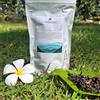 Tea Soul Tè Rosso (nero) Daisi - 25 g
