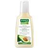 Rausch ag kreuzlingen Rausch Shampoo Colorprotettivo Avocado 200ml