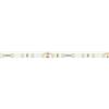 Ledco Striscia Strip LED Ledco 60W 4000K 12V 5 metri IP65 esterno SL60LBN65/12