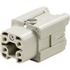 Weidmuller Connettore inserto Femmina Weidmuller HDC 4P+T 16A 400V 1498400000