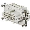 Weidmuller Connettore inserto Femmina Weidmuller HDC 10P+T 16A 500V 1204100000