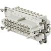 Weidmuller Connettore inserto Femmina Weidmuller HDC 16P+T 16A 500V 1207700000