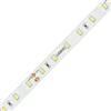 Ledco Striscia Strip Led Ledco 60W 24V 5500K IP20 5 metri SL60LBI20