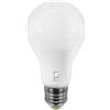 Stone Lampadina goccia a LED Stone 8W attacco E27 3/4/6K 11024/BNC