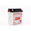 Yuasa BATTERIA YUASA YB3L-A 12V 3 Ah