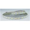 GBC STRISCIA 5M IP65 5050 60LED/M 24V 14,4W/M 1350LM/M 6500K