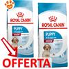 Royal Canin Dog Medium Puppy - Offerta [PREZZO A CONFEZIONE] Quantità Minima 2, Sacco Da 15 Kg