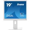 IIYAMA Monitor iiyama B1980D-W5 19'' SXGA TN VGA DVI LED Bianco