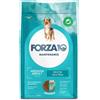 FORZA 10 MAINTENANCE CANE SECCO Medium Adult Pesce 12 kg