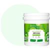 BOX DECO COULEURS Dipinto murale naturale ecologico aspetto opaco interno Natura - 1 L / 13 m², verde acqua