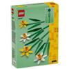 LEGO Creator Pacchetto Girasoli e Narcisi, Set di Fiori Artificiali per  Bambini, Regali per Ragazze e Ragazzi, 40524 + 40747 : : Giochi e  giocattoli