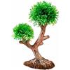 Hobby aqua tree cm 21x6x12h