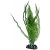 Hobby aponogeton cm 25