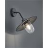 Trio Lighting BRENTA APPLIQUE DA ESTERNO DOWN FUSIONE DI ALLUMINIO VERNICIATA ANTRACITE CON DIFFUSORE VETRO TRASPARENTE IP44 H.35CM 1 LUCE ATTACCO E27