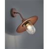 Trio Lighting BRENTA APPLIQUE DA ESTERNO DOWN FUSIONE DI ALLUMINIO VERNICIATA EFFETTO RUGGINE CON DIFFUSORE VETRO TRASPARENTE IP44 H.35CM ATTACCO E27