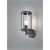 Trio Lighting TANARO APPLIQUE DA ESTERNO FUSIONE DI ALLUMINIO ANTRACITE CON DIFFUSORE VETRO TRASPARENTE IP44 H.32,5CM LUCE ATTACCO E27