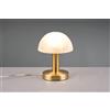 Trio Lighting FYNN II LAMPADA CUPOLA IN OTTONE SATINATO E VETRO SABBIATO BIANCO SPAZZOLATO 1 LUCE ATTACCO E14 H.21CM