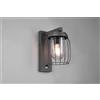 Trio Lighting Applique esterno TUELA con gabbia diffusore bianco ip44 H.28cm con sensore movimento antracite 210869142