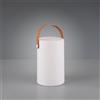 Trio Lighting ARUBA LAMPADA DA APPOGGIO CILINDRO LED EFFETTO RGB CON RICARICA USB DA ESTERNO H. 20,5CM 70LM 1W 3000K