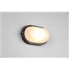 Trio Lighting ALANO PLAFONIERA APPLIQUE DA ESTERNO OVALE FUSIONE DI ALLUMINIO NERA E VETRO SATINATO L.28,3CM IP44 1 LUCE ATTACCO E27