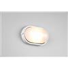 Trio Lighting ALANO PLAFONIERA APPLIQUE DA ESTERNO OVALE FUSIONE DI ALLUMINIO BIANCA E VETRO SATINATO L.28,3CM IP44 1 LUCE ATTACCO E27
