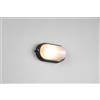 Trio Lighting ALANO PLAFONIERA APPLIQUE DA ESTERNO OVALE FUSIONE DI ALLUMINIO NERA E VETRO SATINATO L.21,4CM IP44 1 LUCE ATTACCO E27