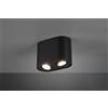 Trio Lighting COOKIE CILINDRO 2 SPOTS ORIENTABILI NERO L. 17,8CM H. 12,5CM