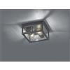 Trio Lighting GARONNE PLAFONIERA DA ESTERNO DOPPIA LAMPADINA FUSIONE DI ALLUMINIO ANTRACITE E VETRO TRASPARENTE IP44 24X24CM 2 LUCI ATTACCO E27