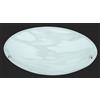 Trio Lighting LANA PLAFONIERA VETRO DECORATO ALABASTRO D.25CM 1 LUCE ATTACCO E27