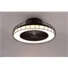 Trio Lighting Plafoniera Sandfjord LED con gabbia metallo nero R64122132