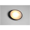 Trio Lighting TEMO PLAFONIERA APPLIQUE DA ESTERNO OVALE FUSIONE DI ALLUMINIO NERA E VETRO SATINATO L.32CM IP44 1 LUCE ATTACCO E27