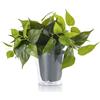 Trio Lighting PLANT SOLO PIANTA FINTA DI SOSTITUZIONE PER LAMPADARIO A SOSPENSIONE ARTICOLO. 301000367