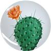 Excelsa Piatto piano Color cactus porcellana decorata Ø 27 cm 1 pezzo