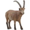 SCHLEICH 14873 Stambecco, da 3 Anni, Wild Life - Figura, 5 x 9 x 3 cm