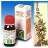SPECCHIASOL Srl Uva Ursina 30 50ml Tm