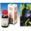 SPECCHIASOL Srl MIRTILLO 31 50ML TM