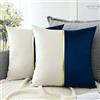 Artscope Set di 2 Velluto Federe Copricuscini Decorativi Fodere per Cuscini Patchwork in Pelle Oro per da Letto Soggiorno Divano Auto Fodera per Cuscini 45x45cm, Blu e Bianco