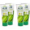 Tabaibaloe Tabaiba Loe Aloe Vera Crema per le mani, 100 ml, confezione da 4 unità