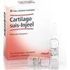 Guna-Heel Cartilago Suis-Injeel Medicinale Omeopatico 10 Fiale