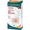 ERBA VITA GROUP SPA Carbon Ev Ferment 30 Capsule