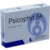 BIOGROUP SPA SOCIETA' BENEFIT PSICOPHYT REMEDY 5B 4TUB 1,2G