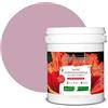 BOX DECO COULEURS Pittura naturale ecologica per interni esterni effetto raso Natura - 1L / 13 m² [Classe energetica A+], rosa confetto