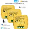 Tuya Smart Switch Matter Modulo RelÃ¨