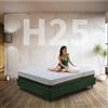 Materasso molle insacchettate e memory H25, 1600 molle indipendenti semirigido | Tessuto sfoderabile - MOD. Spring night memory 190x195 cm - Materassi