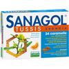 NAMED Srl SANAGOL TUSSIS ARANCIA 24CAR