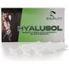 Equality Hyalusol Aerosol ambientale per equini 10 flaconi monodose da 8 ml