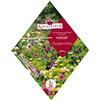 Royalfleur PFRK21442 - Semi di Fiori in massello, 3 m2, Colore: Viola