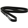 DAYCO 6PK1750 Cinghia Poly-V | Compatibile con: ALFA ROMEO 156, 156 Sportwagon, 159, 159 Sportwagon, BRERA, SPIDER