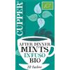 CUPPER After Dinner Mints Infuso Biologico con Doppia Menta e Finocchio, Tisana con Ingredienti Naturali Digestivo Dopo Pasto, Gusto Speziato, Filtri 100% Biodegradabili, Confezione da 20 Bustine